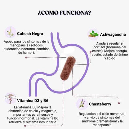 Multivitamínico MENO – Vuelve a sentirte plena como a los 30